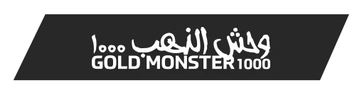 Rize Minelab Gold Monster 1000 - Gold Monster 1000 küçük altın dedektörü